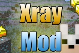 XRay-Mod