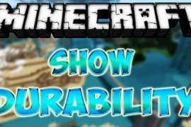 Show-Durability-Mod